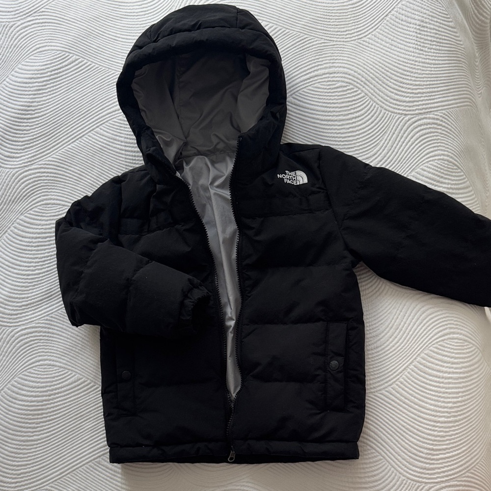 The North Face Black Puffer Jacket with Hood